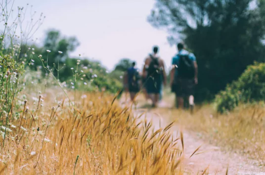 Article Reporters d&rsquo;Espoirs : Comment traiter la biodiversité comme un investissement en santé publique plutôt qu’un coût ?